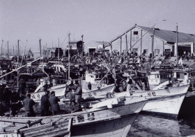 1960년대 어선부두(현 내항 7부두)