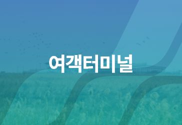 여객터미널
